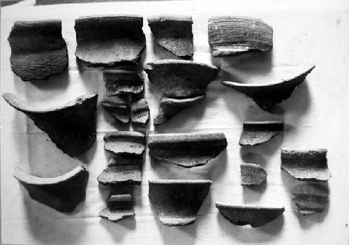 Coarse gray unslipped rim sherds (jars) with Robert's type numbers