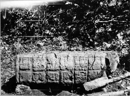 Stela 1 - right side top