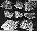 Pottery fragments of Puuc unslipped course (pattern) jar types