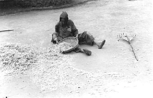 Woman sifting hay