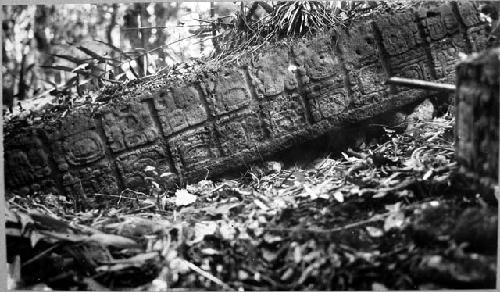 Stela 37, right side, second piece