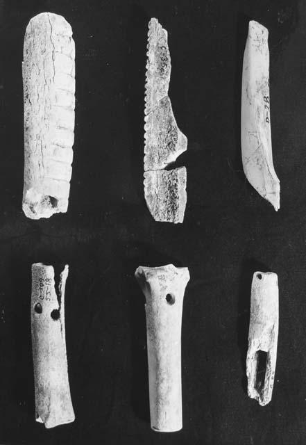 2 bone rasps, K-2; & misc. cut bones K-1  54-87; 53-231; 53-31; 55-18; 56-7; 53