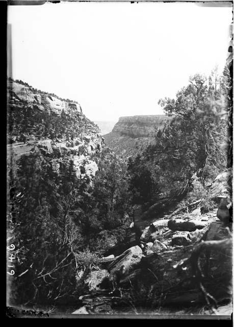 Cliff Palace -- looking down canyon from near Fewkes Canon