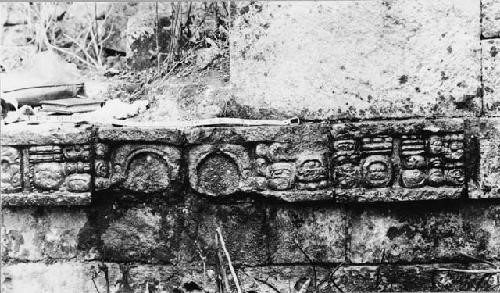 Detail of glyphs on step entrance, Temple 21a