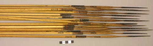 Quiver and 23 poisoned arrows