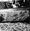 Sculptured stone trough with jaguar sculpture