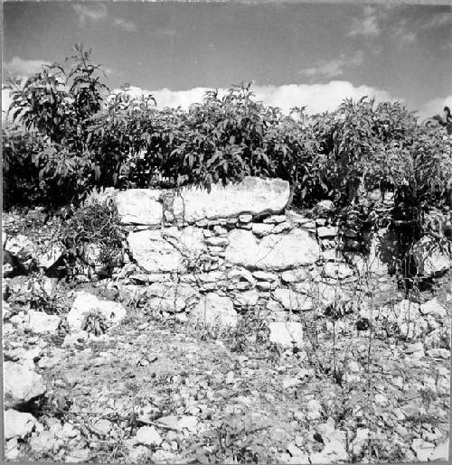 Curved wall on South of Mound 2 exterior-probably a post conquest Spanish cister