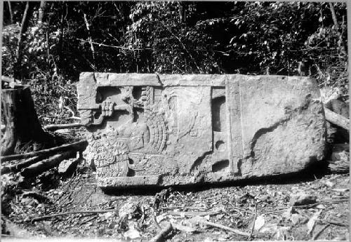 Stela 40 - front lower