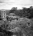 Palace Str. - looking N.E. from the Temple of the Inscriptions.