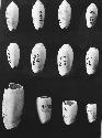 Alina shells H-5  Lot A-115; A-447; A-123;  A-126 (unworked); A-587; #54-32; 54-