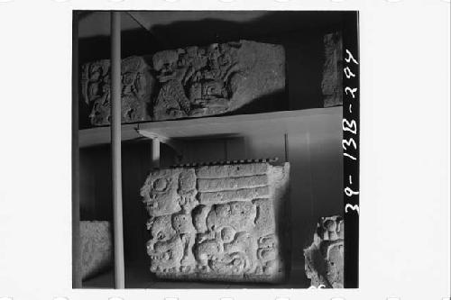 Glyph blocks from Hieroglyphic Stairway