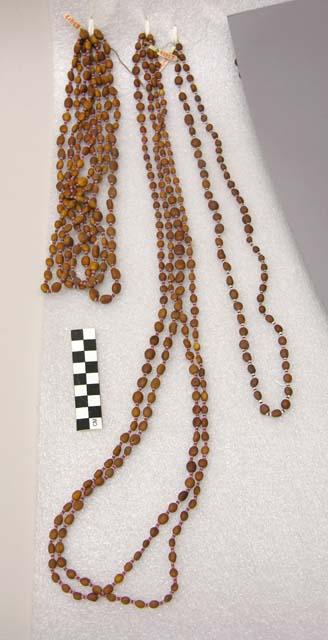 Seed necklace or bandoliere