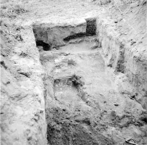 Steps of long mound bordering main court on the South side