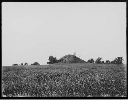 View of the smaller Sugar Loaf Mound