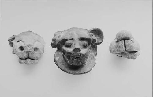 Jaguar head and two jaguar snouts