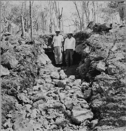 Trench into terrace on west side of Group Q244