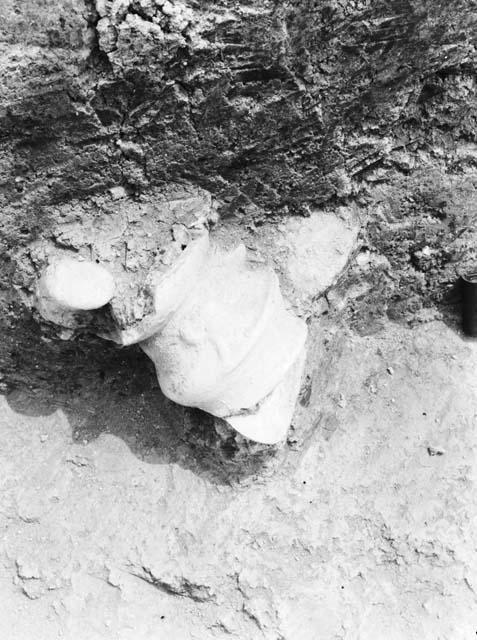 Grave 3A looking south. Pottery head protruding from soil