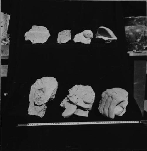 Stucco fragments from Structure Q159