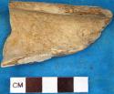 Large mammal long bone fragment