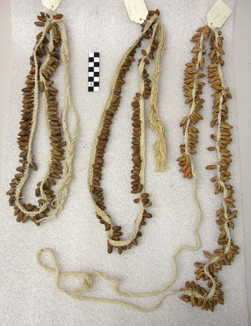 Seed necklaces or bandoliers