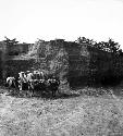 Man with oxcart in front of northeast corner, Mound C-III-10