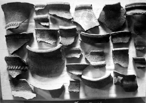 Coarse gray unslipped rim sherds of jars with Robert's type numbers