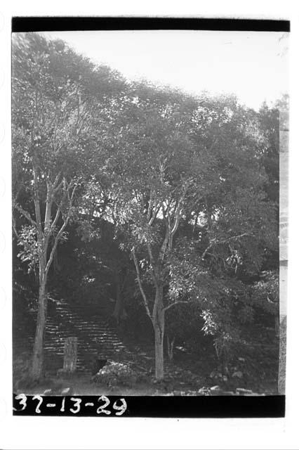 General view of Stela N and Mound 11 seen from Mound 9