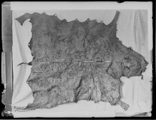 Photograph of pictographic bison robe; Dakota or Lakota