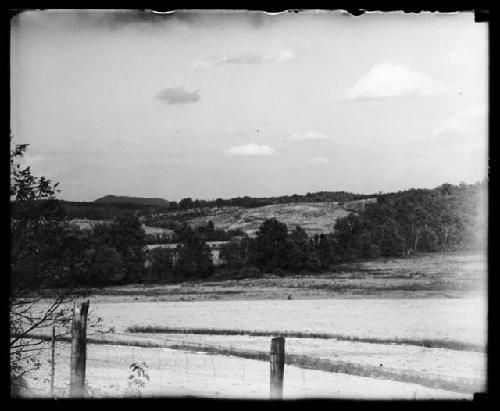 Corn field