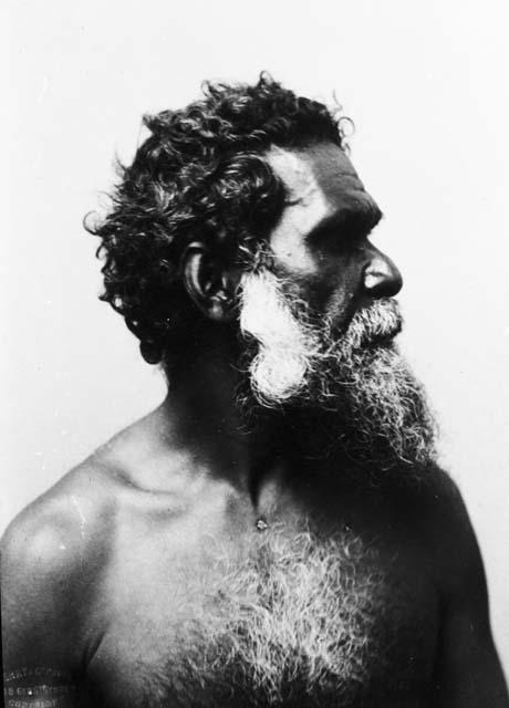 Booree, Aboriginal Chief