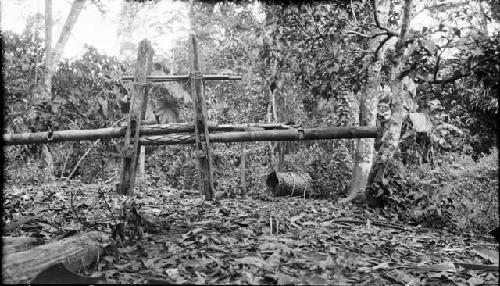 Wooden structure in forest setting
