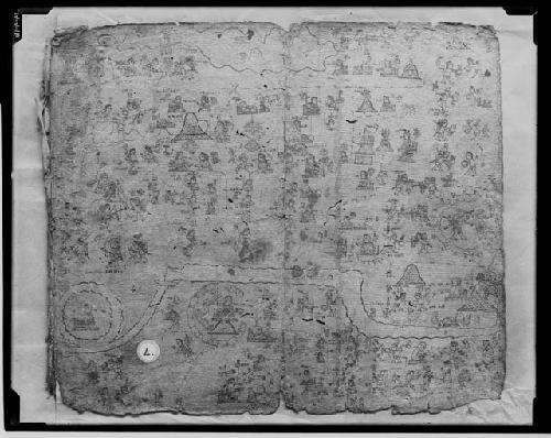 Codex Xolotl