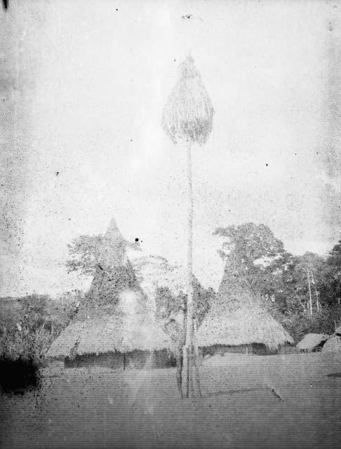 Bird house high above huts