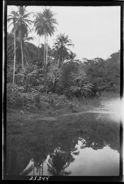 View of river