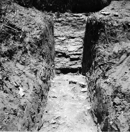 Trench on S side of main mound. Note brick wall in background