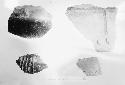 Pottery fragments from excavation of Hut "R", Pit 124, Homolka