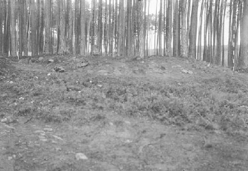 Tumulus 1 - looking east - mantle cleaned