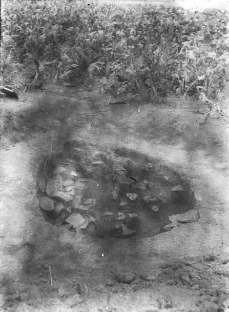 Looking north - pit 1, sherds exposed