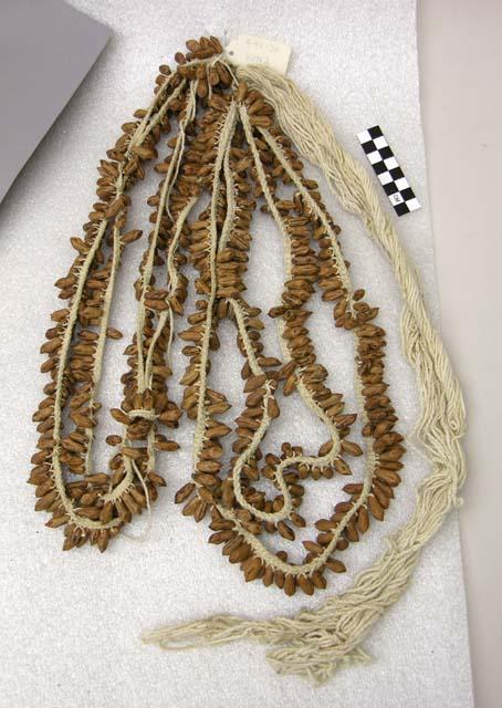 Seed necklace or bandoliere