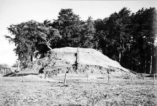 General view of Mound B prior to excavation