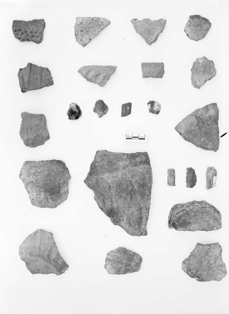 Various potsherds from pit excavation