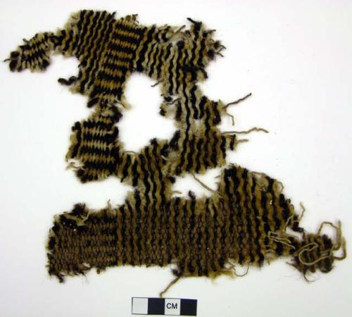 Textile fragment, tan and black weave, possibly wool