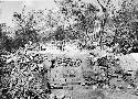 Temple stairway during excavation, Str.Q - 82. View from East