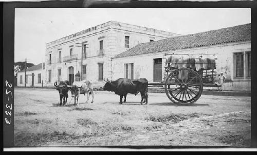 Cart and Animals