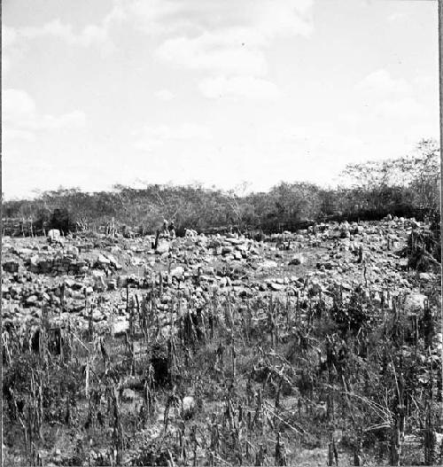 Looking east at south half of Group A-3