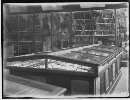 Table case in lecture room, Peabody Museum