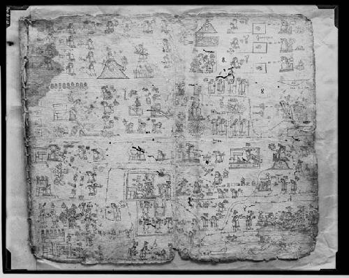 Codex Xolotl