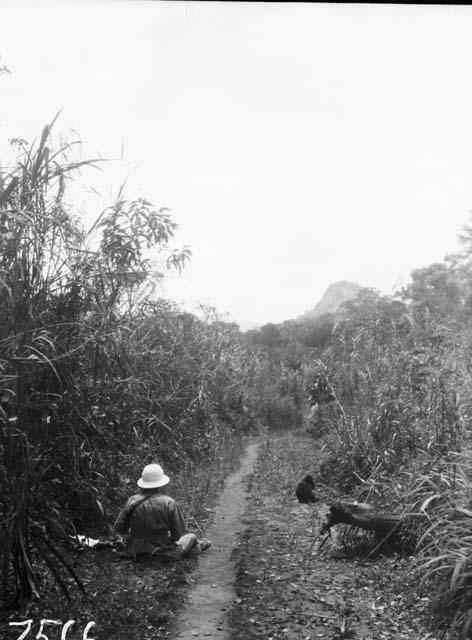 Arebi-Arokanggi Trail