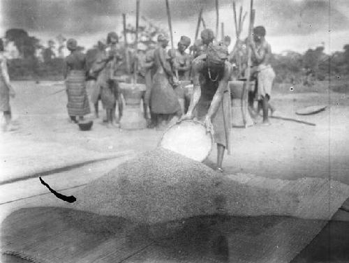 Woman scooping a pile of threshed rice