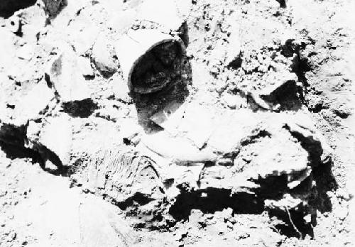 Exploratory pit 7, grave 1, close-up of bone comb and sherd deposit